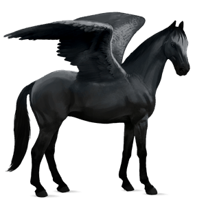 riding pegasus hanoverian black