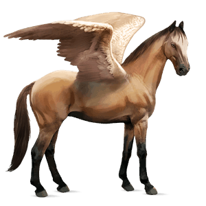 riding pegasus quarter horse dun
