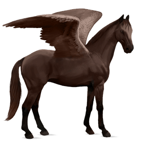 riding pegasus hanoverian liver chestnut