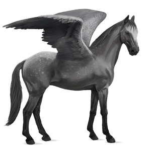 riding pegasus dapple grey