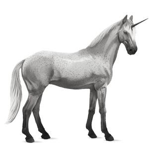 riding unicorn irish hunter fleabitten grey
