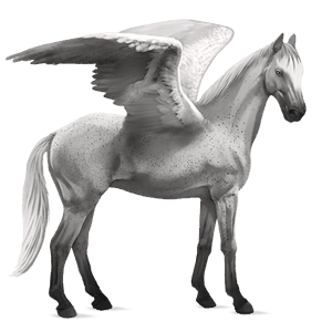 riding pegasus paint horse dark bay tobiano