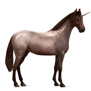riding unicorn roan