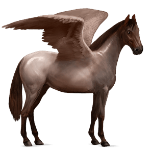 riding pegasus curly black