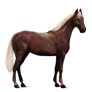 riding horse hanoverian liver chestnut