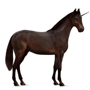 riding unicorn icelandic horse chestnut