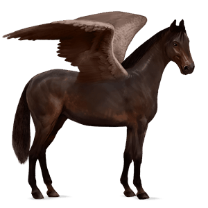 riding pegasus thoroughbred liver chestnut