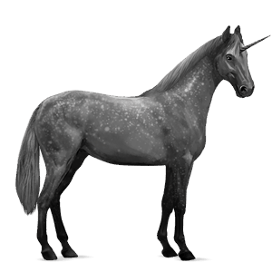 donkey unicorn standard donkey black