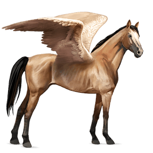 riding pegasus dun
