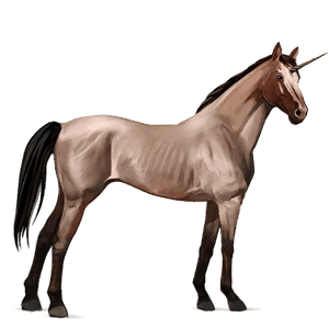 riding unicorn thoroughbred roan