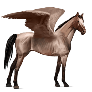 riding pegasus dun