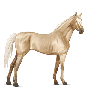 riding horse tennessee walker cherry bay