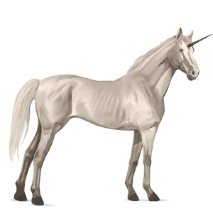 riding unicorn akhal-teke dark bay