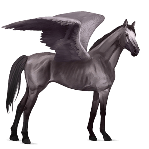 riding pegasus thoroughbred chestnut