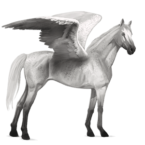 riding pegasus akhal-teke light grey