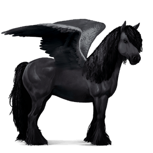 riding pegasus friesian black