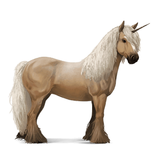 riding unicorn paint horse bay tovero 