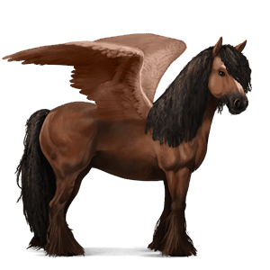 riding pegasus vanner liver chestnut tobiano