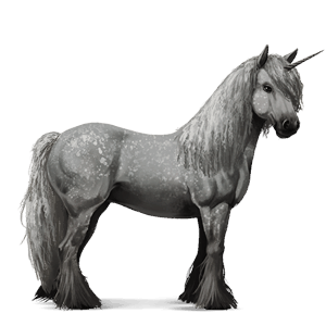 draft unicorn percheron black