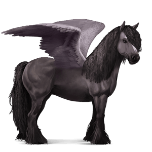 riding pegasus canadian horse black