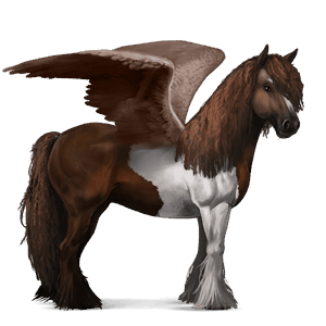 riding pegasus vanner liver chestnut tobiano