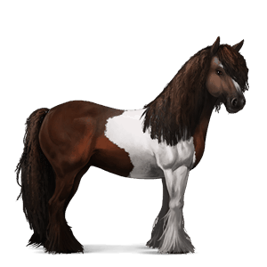 riding horse hanoverian dapple grey