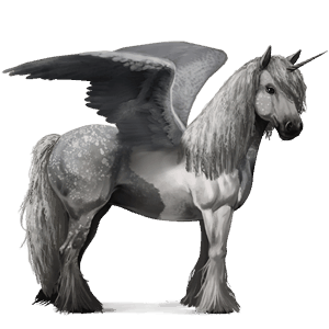winged riding unicorn vanner black tobiano