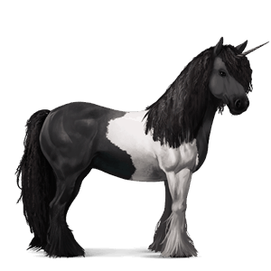 draft unicorn black