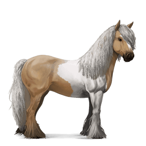 riding horse flaxen liver chestnut 