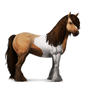 riding horse vanner chestnut tobiano