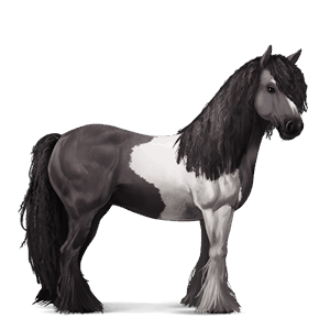 riding horse purebred spanish horse dapple grey