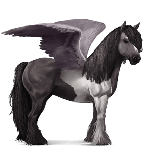 riding pegasus marwari light grey