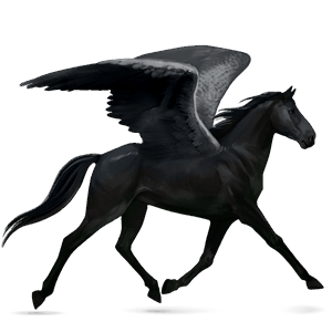 riding pegasus arabian horse cherry bay