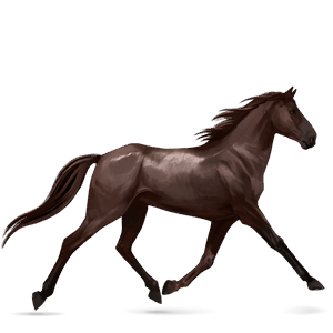 riding horse tennessee walker liver chestnut