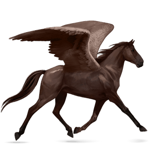 riding pegasus akhal-teke dark bay