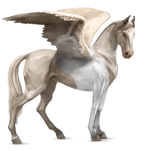 riding pegasus thoroughbred liver chestnut