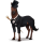 riding horse loony doctor