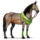 pony forest