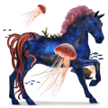 riding horse arabian horse black