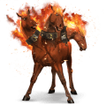riding horse nokota roan