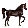 riding horse hanoverian strawberry roan