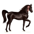 riding horse hanoverian cherry bay