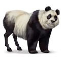 wild horse panda