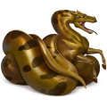 wild horse anaconda