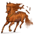 divine horse cinnamon