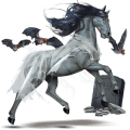 riding horse paint horse chestnut overo