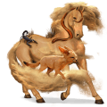 riding horse arabian horse light grey