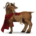 pony fjord brunblakk