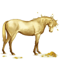 riding horse paint horse chestnut tovero 
