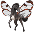 riding horse paint horse black overo